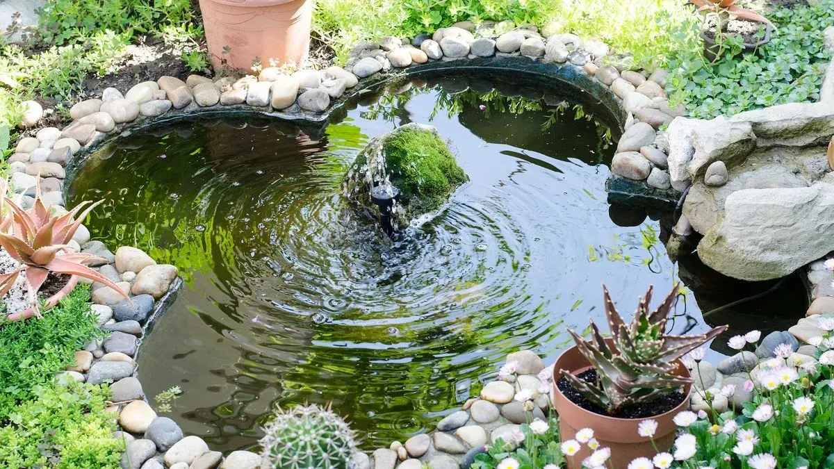 Garden Pond Norfolk 01