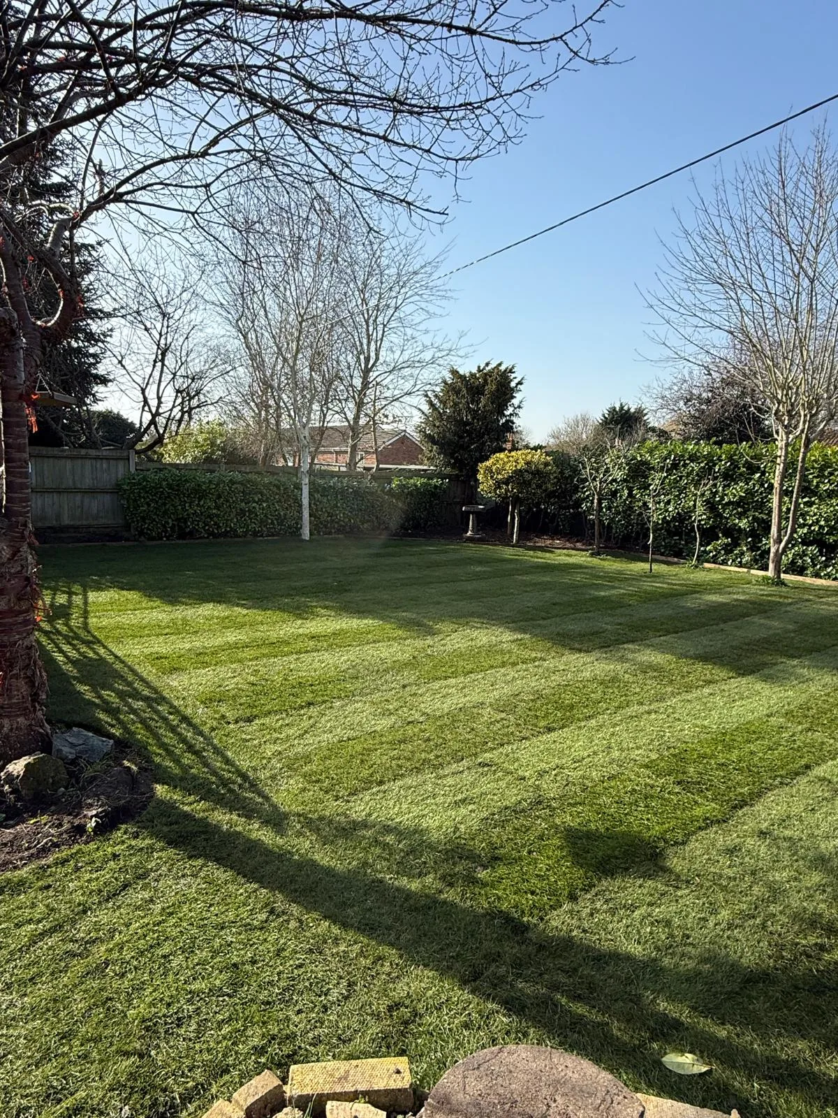 Lawn laying and turfing Norfolk