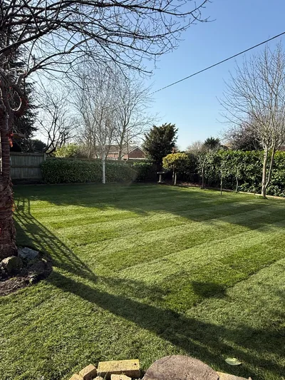 Lawns and Turfing