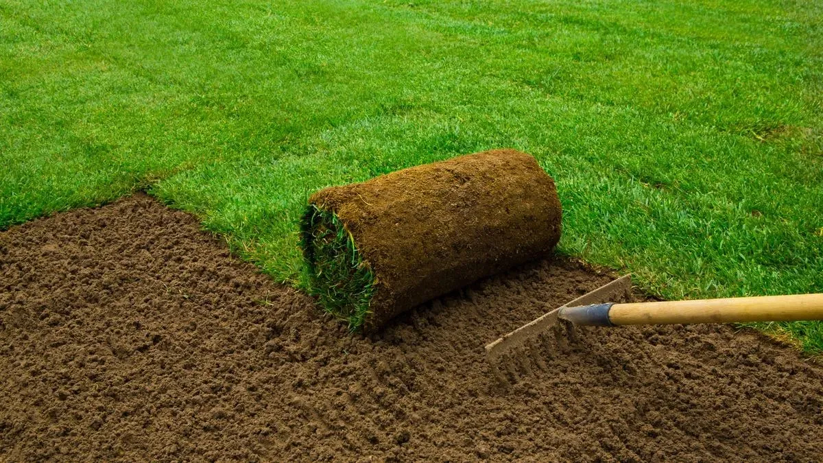 Lawn laying and turfing in Norfolk by Hilton & Green Landscaping