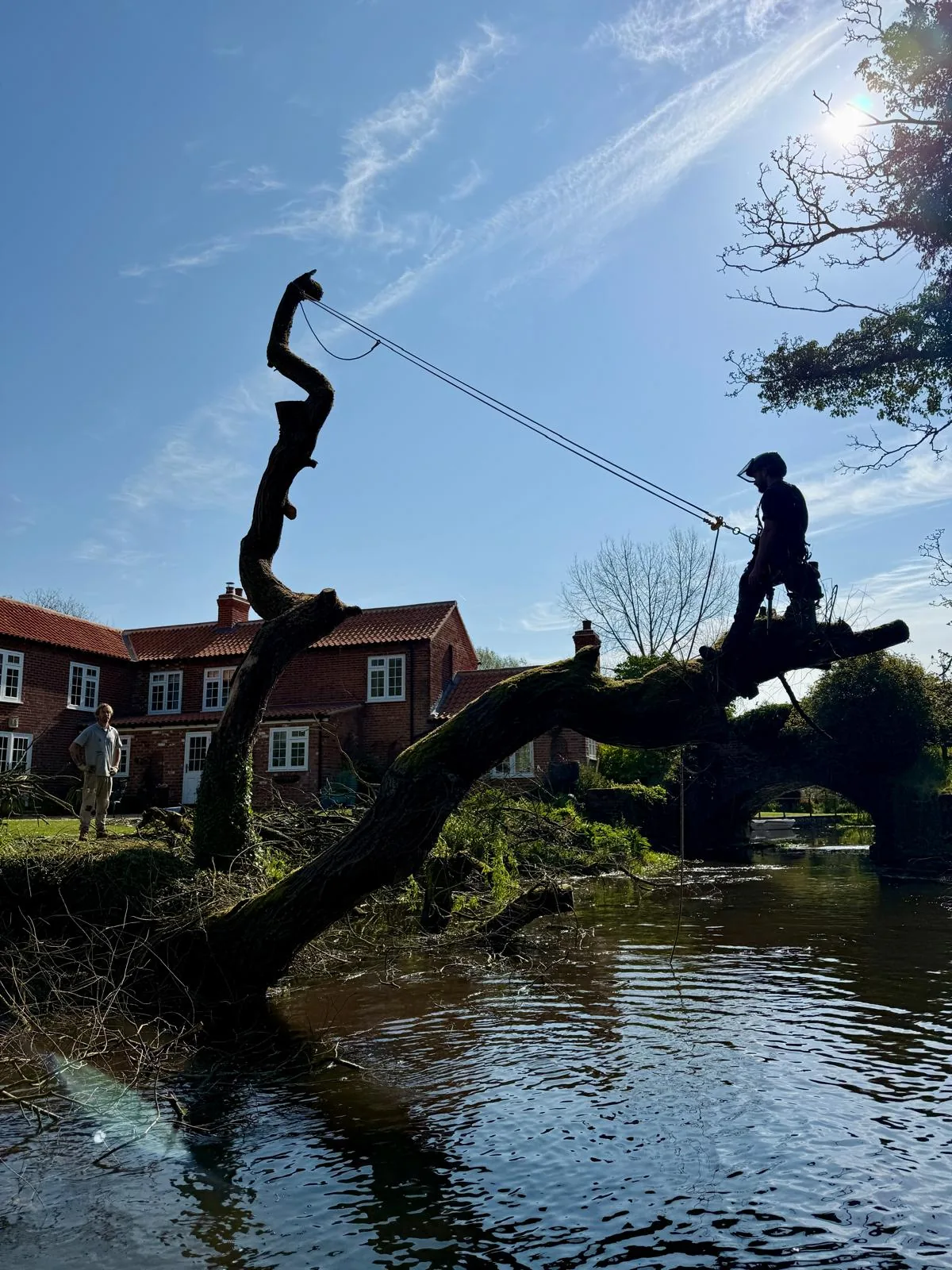 Tree surgery in Norfolk by Hilton & Green Landscaping